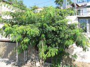 Квартира в Крыму